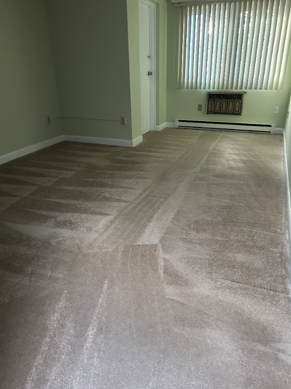 Providence Condo: 24 Camp St