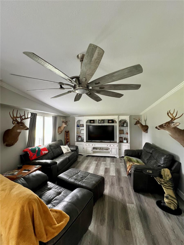 zephyrhills Other: 4229 Ryals Rd