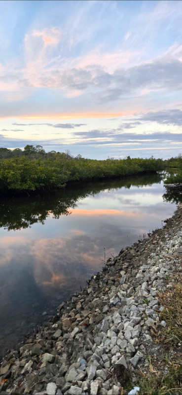 Port Richey House: 7639 Wells Court, Port Richey, Florida, USA