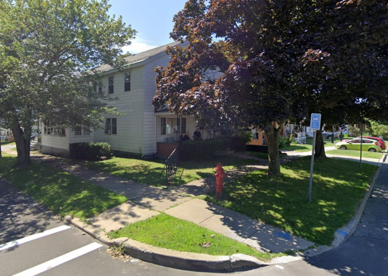 Oswego Townhome: 152 W Seneca St