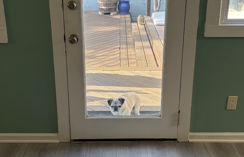 San Francisco Multiplex: 536 Arlington St,