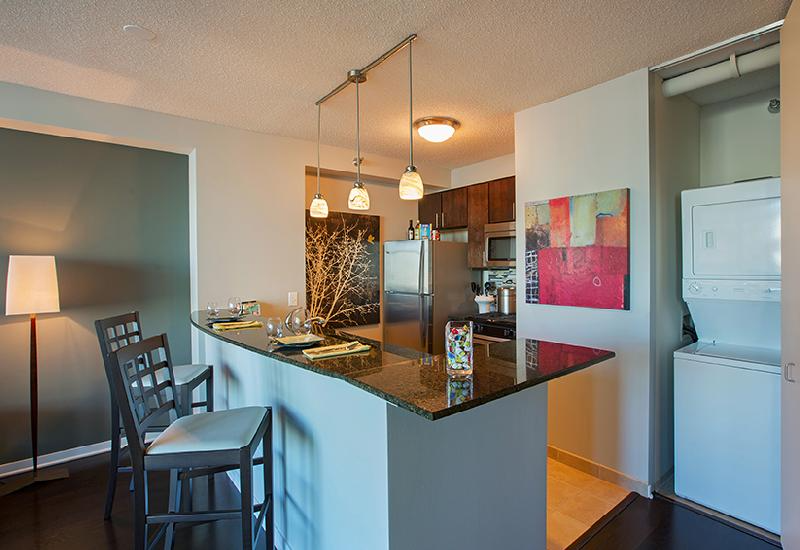 Chicago Condo: 340 East Ohio St