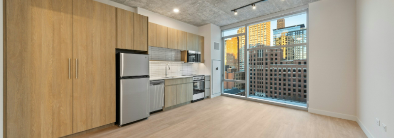 Chicago Condo: 813 n Wells St.