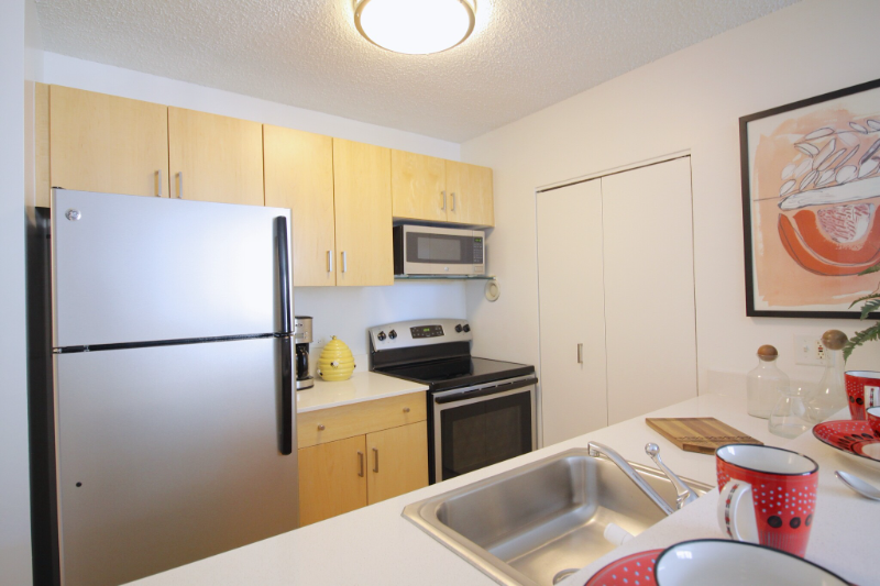 Chicago Condo: 803 N Dearborn