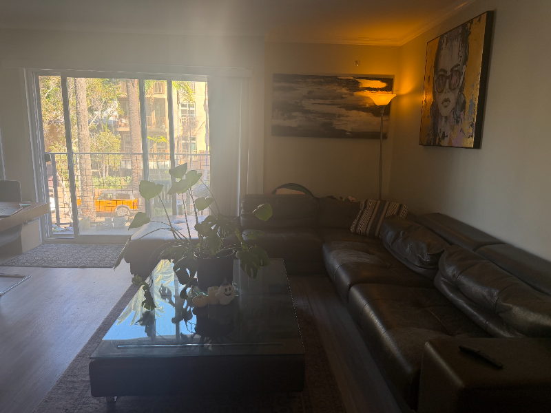 Santa Monica Apartment: 123 California Ave