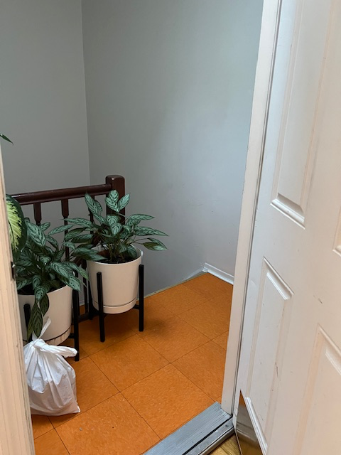 Astoria Multiplex: 2528 35th street