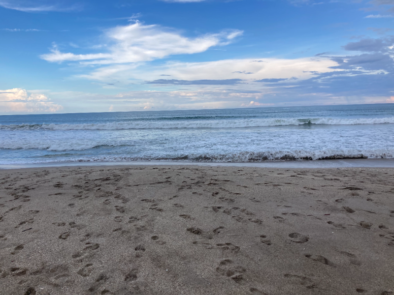 Palm City House: 1192 Nettles Blvd.