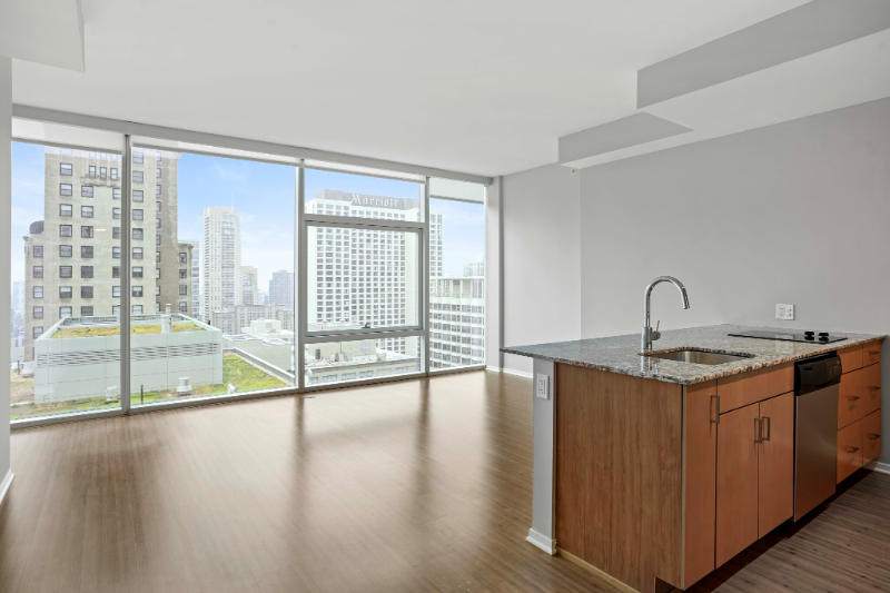 Chicago Condo: 208 E Grand