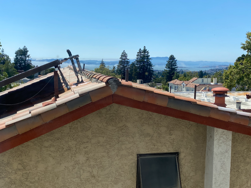 Berkeley Apartment: 1701 LeRoy Ave