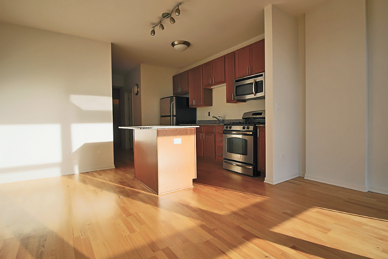 Chicago Condo: 57 E 8th St