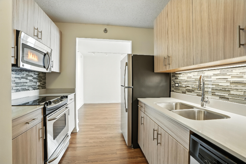 Chicago Condo: 537 North Kingsbury Street