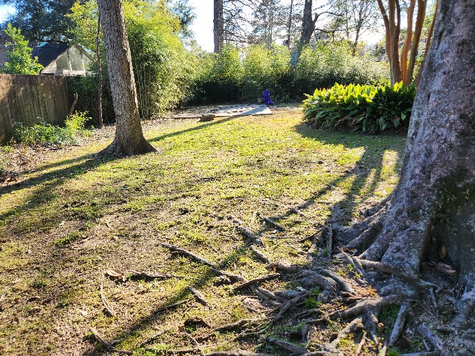 Baton Rouge House: 614 Sunset Blvd