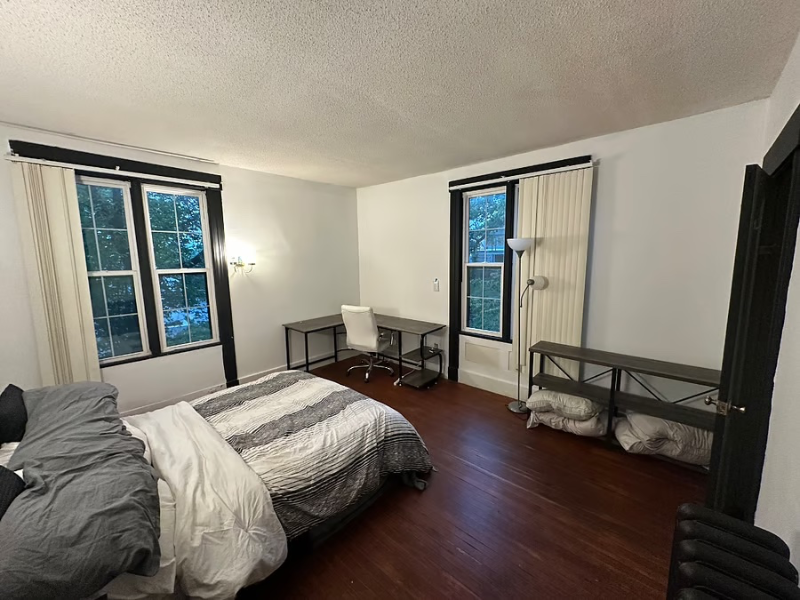 Springfield Multiplex: 123 Mulberry St