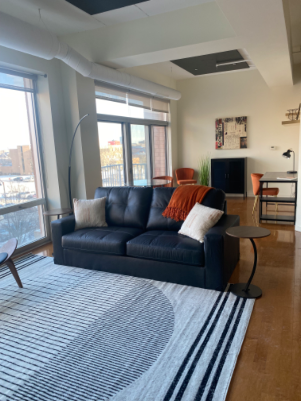 Detroit Condo: 3670 Woodward Ave