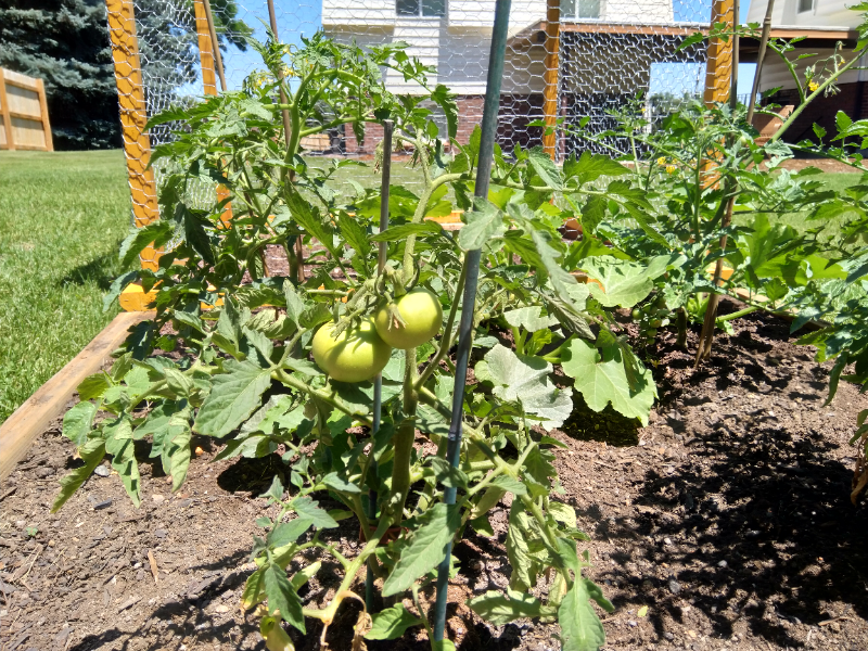 Lakewood Multiplex: 8848 West Jewell Ave Unit 1