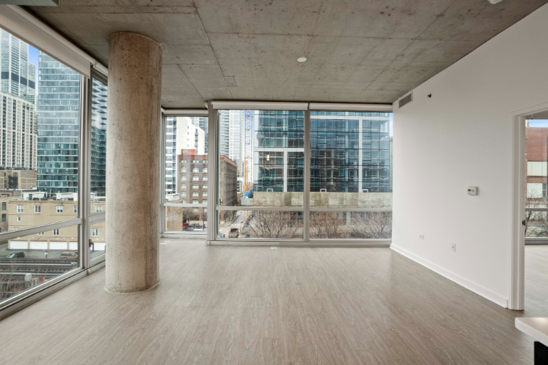 Chicago Condo: 1447 S State St