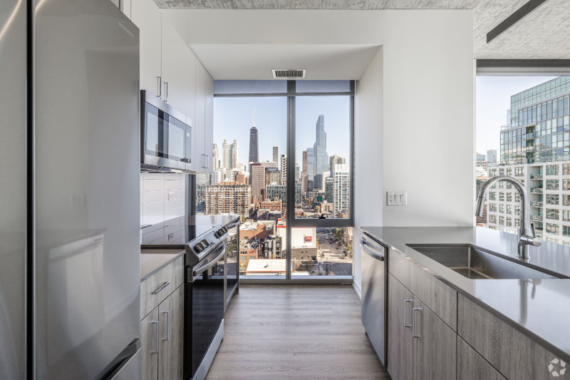 Chicago Condo: 454 W Chicago Ave