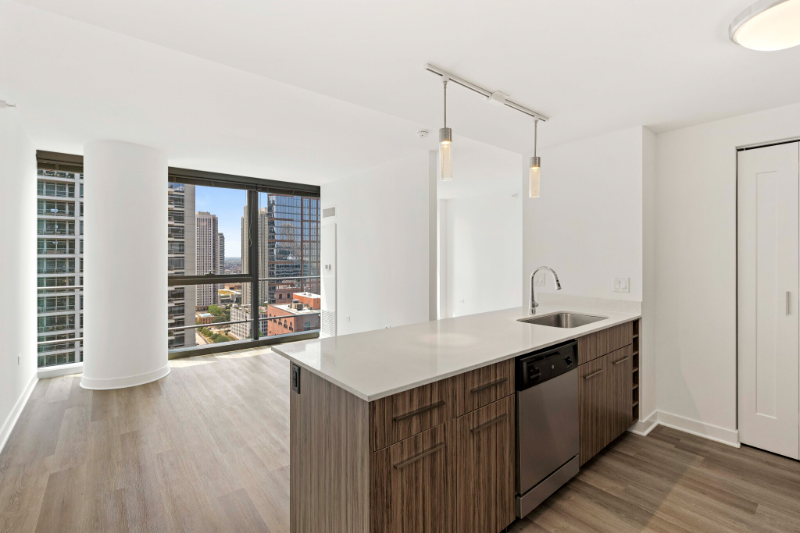 chicago Apartment: 340 W Wolf Point Plaza