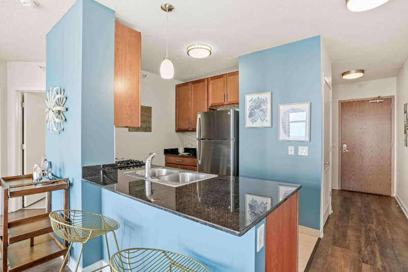Chicago Condo: 579 W Kinzie St