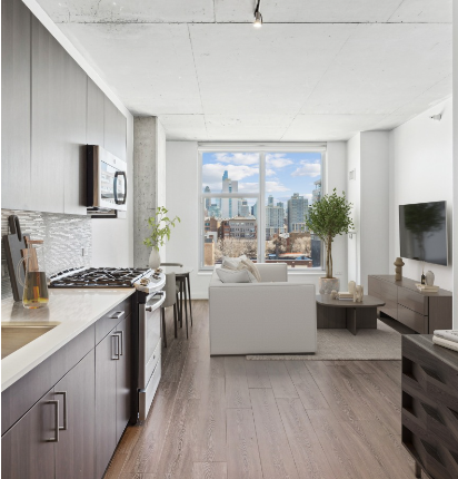 Chicago Condo: 700 N Morgan St