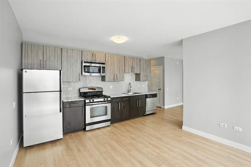 Chicago Condo: 367 e wacker dr