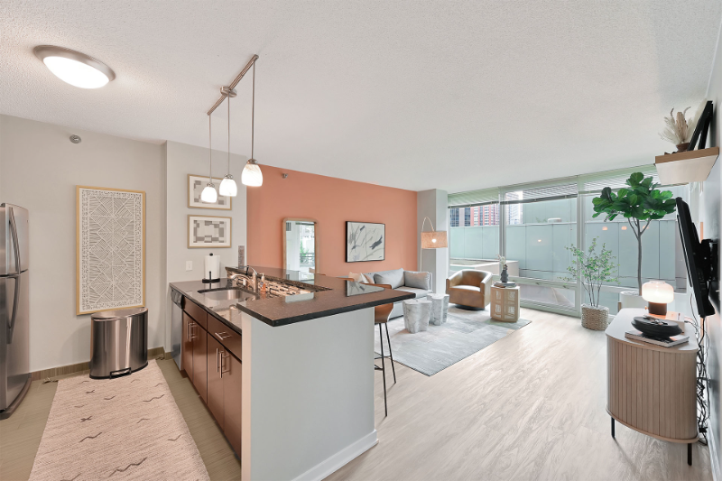 Chicago Condo: 313 E Ohio St