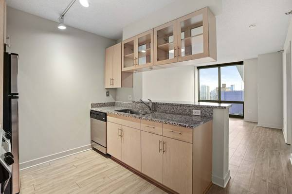 Chicago Condo: 1287 S Michigan Ave