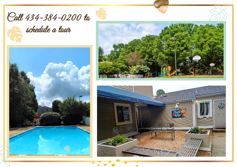 Lynchburg Apartment: 600 Reusens Road