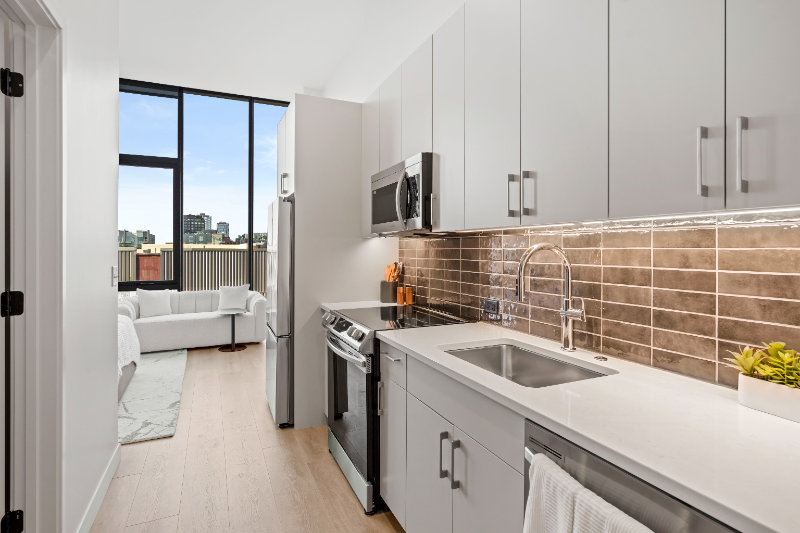 Chicago Condo: 1059 W Van Buren