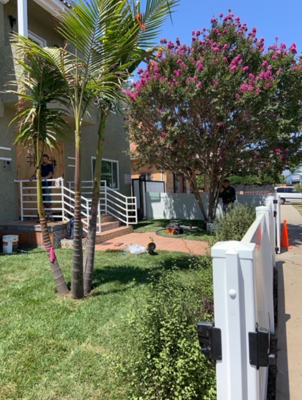 Los Angeles Multiplex: 5234 W 20th St Lower Unit R