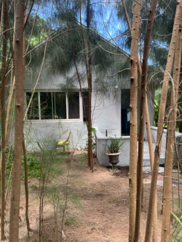 Clearwater House: 1516 Carmel Ave