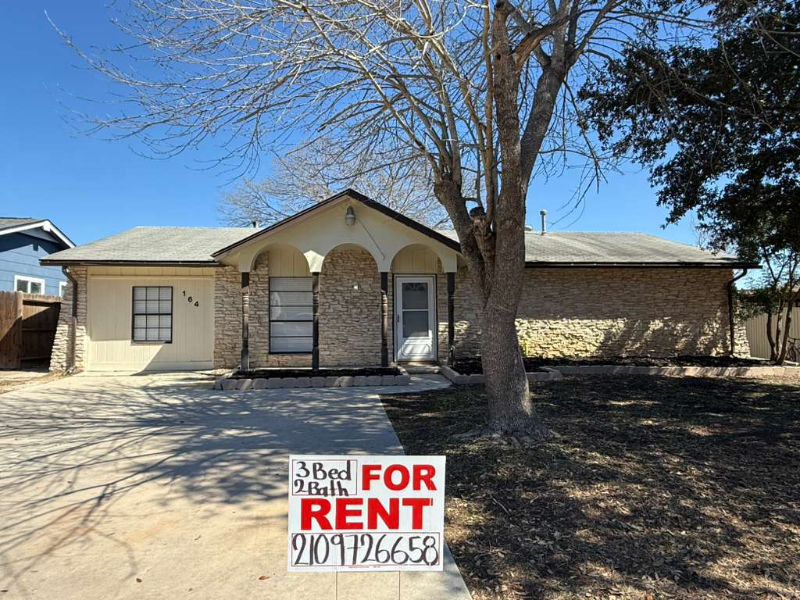 Live Oak House: 164 lost forest