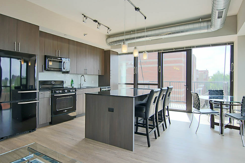 Chicago Condo: 221 W Scott