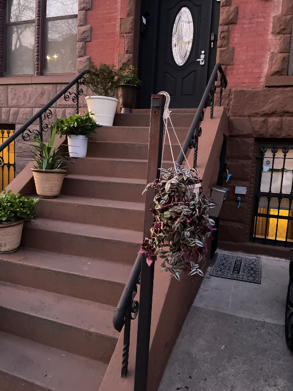 brooklyn Multiplex: 669 park place