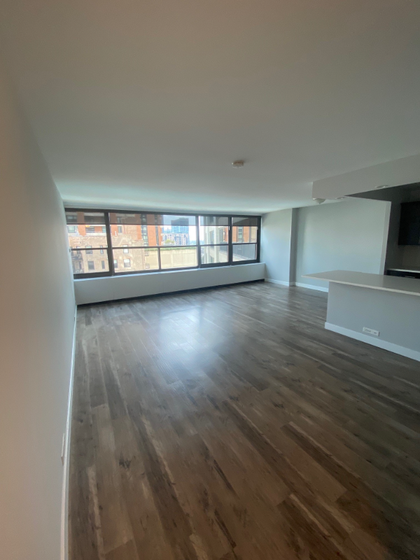 Chicago Apartment: 1130 S Michigan Ave