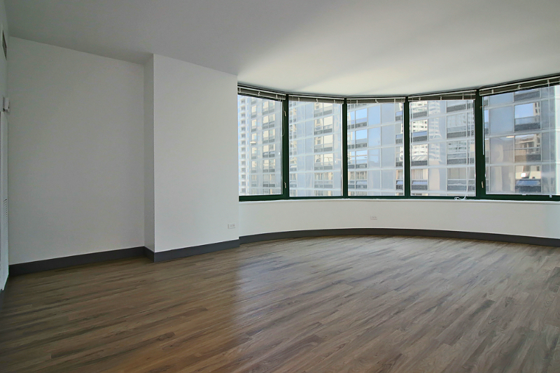 Chicago Condo: 413 E Ohio