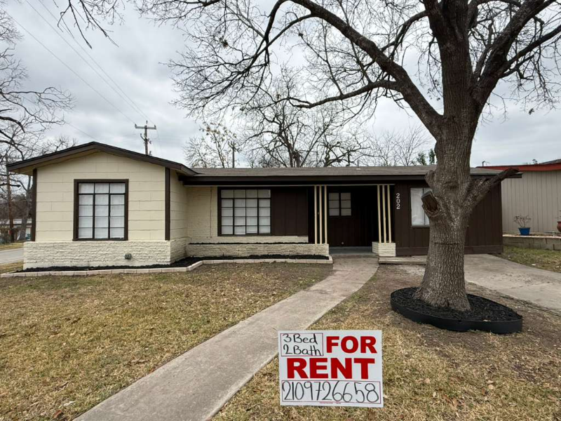 San Antonio House: 202 Mink