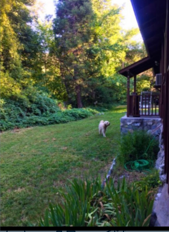 Lytle Creek House: 13992 Irving Ln