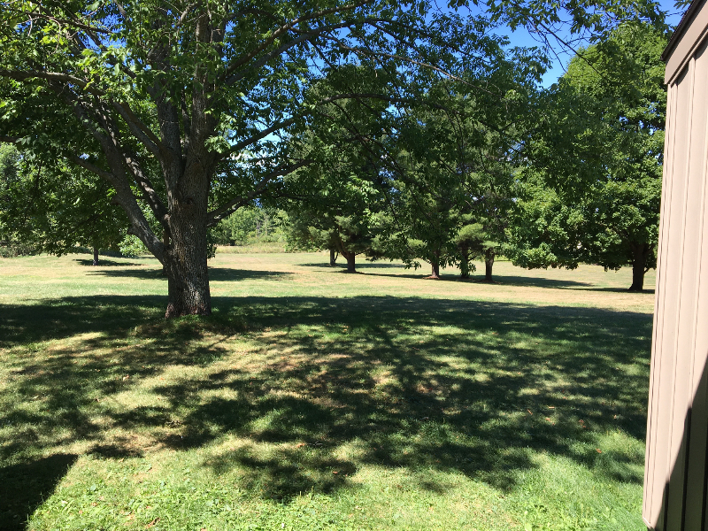 Ithaca Townhome: 1049 Danby RD A2