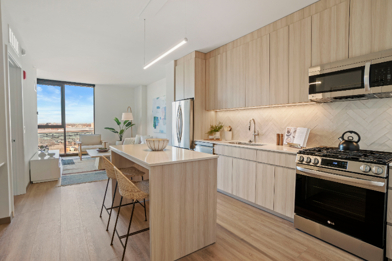 Chicago Condo: 554 S Damen Ave