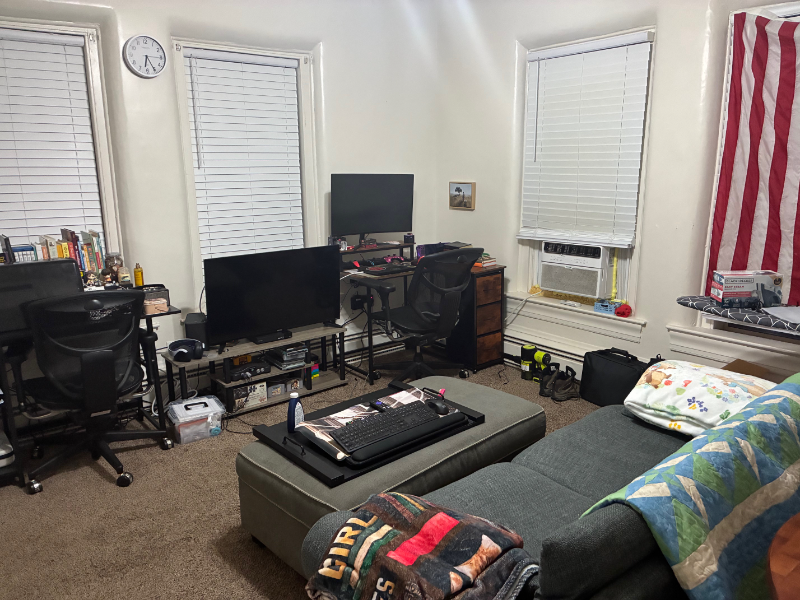 Springville Apartment: 251 E 300 S