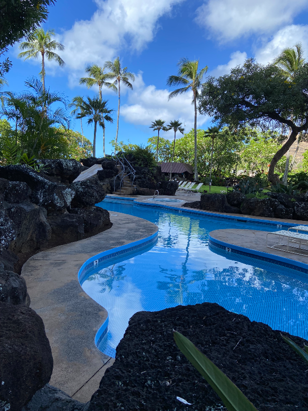 Honolulu Condo: 511 Hahaione Street