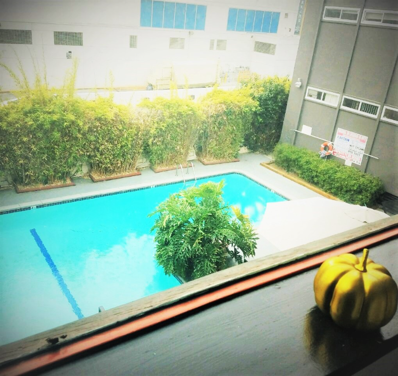 Los Angeles Apartment: 1736 N SYCAMORE AVE,