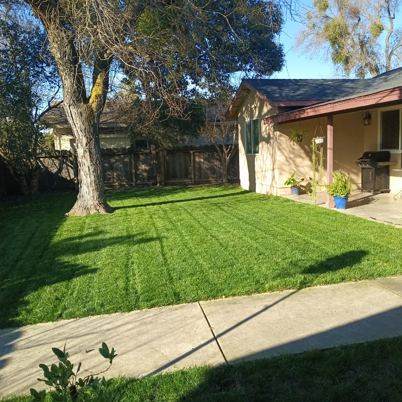 Modesto House: 1825 College Ave