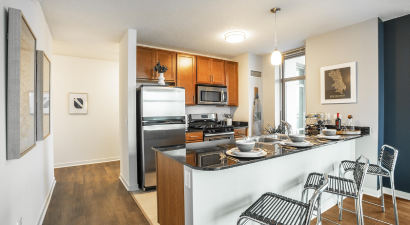 Chicago Condo: 557 W Kinzie St