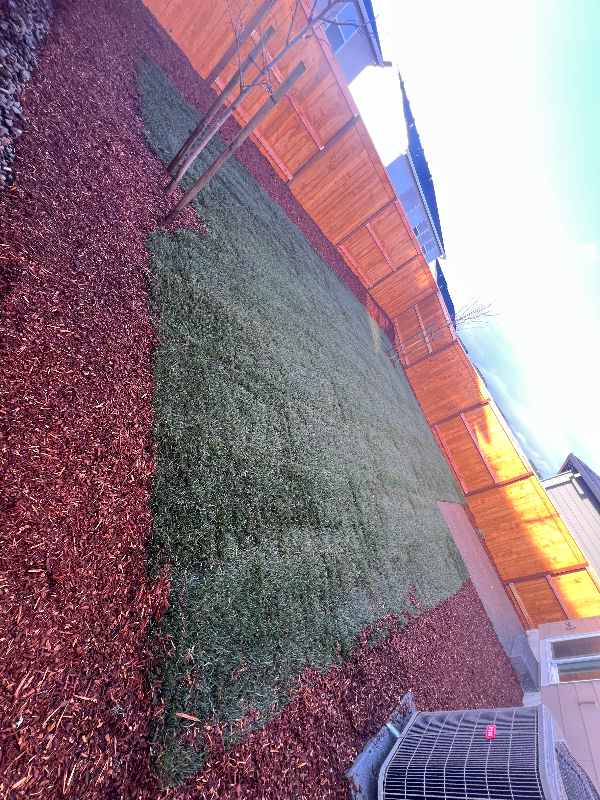 Salem House: 329 Stella St NE