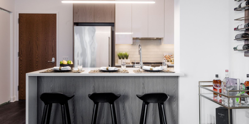 Chicago Condo: 909 W. Altgeld