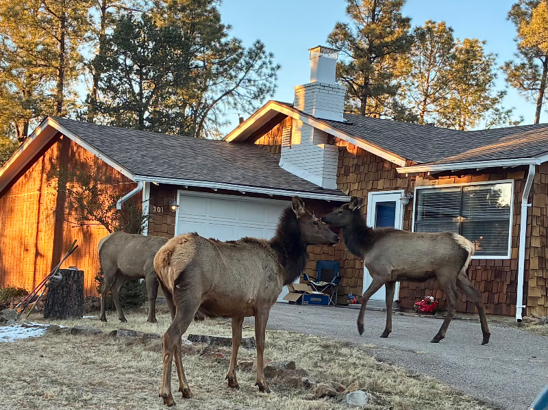 Ruidoso House: 301 La Luz Ln