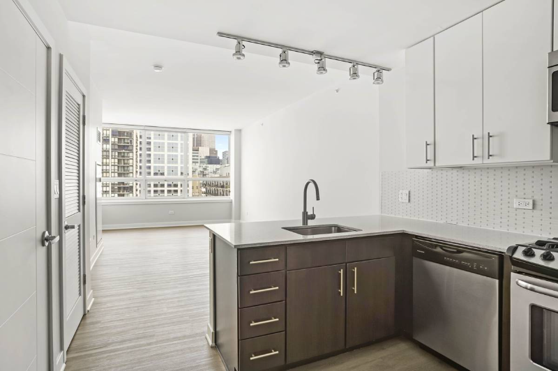 Chicago Condo: 729 W Adams St