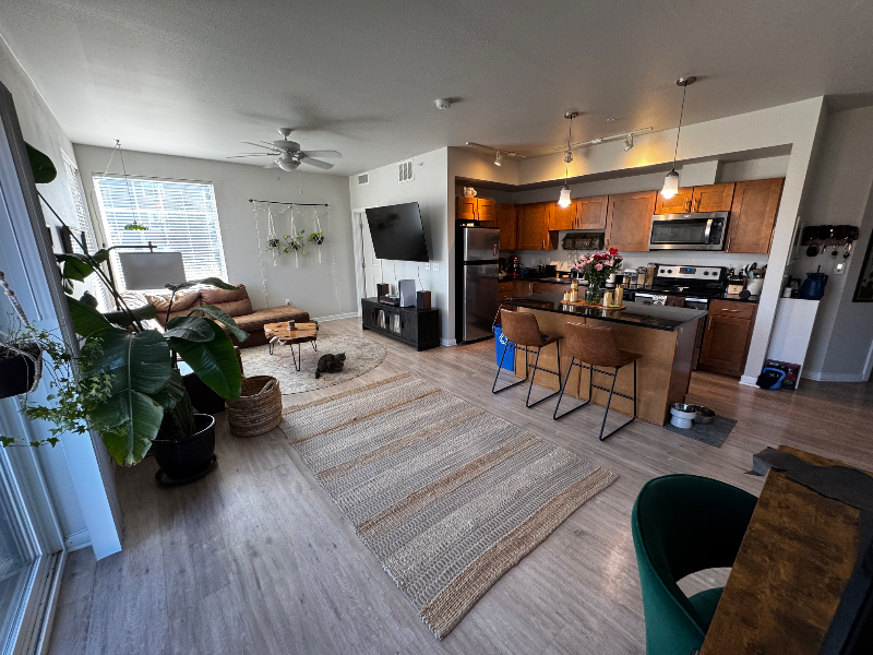 Fort Collins Apartment: 2451 S Timberline Rd